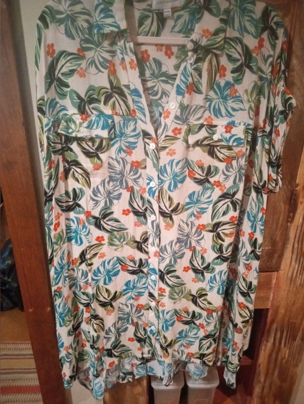 Lost + Wander Cream Button-Front Dress with Blue, Green & Orange Floral Print